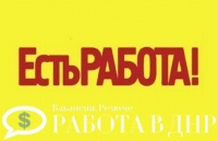 На проекте размещено более 7000 вакансий и 1500 резюме ДНР