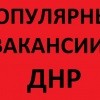 Самые популярные вакансии Донецка и ДНР